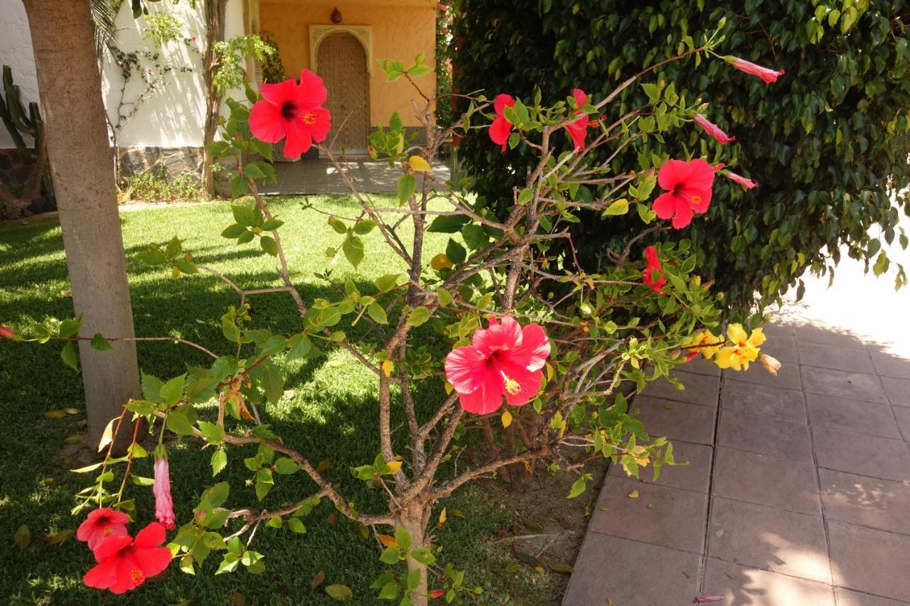 Vera Playa Spain - La Menara Naturist Complex - Eagles Nest - Penthouse Luaran gambar